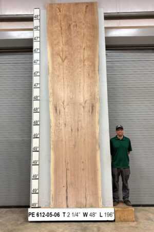 Live Edge Pecan Wood Slab Glue Up - Front PE-612-05-06