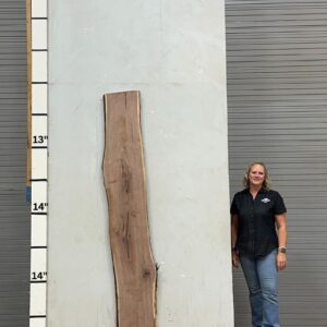 Live Edge Walnut Wood Slab - Back WA 008-01