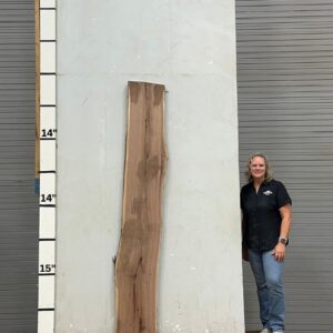 Live Edge Walnut Wood Slab - Front WA-008-01