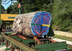 Whole Log Texas Lumber for Sale