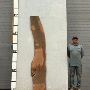 Live Edge Mesquite Wood Slab - Back ME-301-01