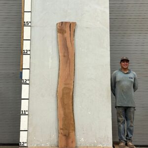 Live Edge Mesquite Wood Slab - Back ME-302-01