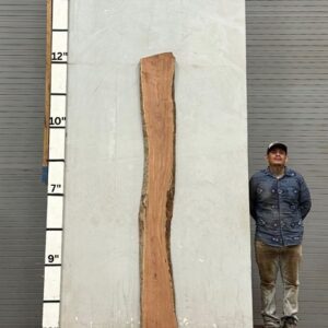 Live Edge Mesquite Wood Slab - Back ME-306-01
