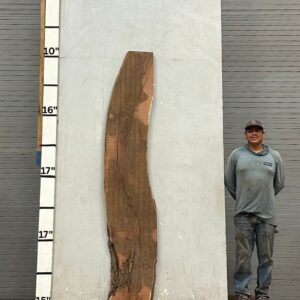 Live Edge Mesquite Wood Slab - Back ME-301-02