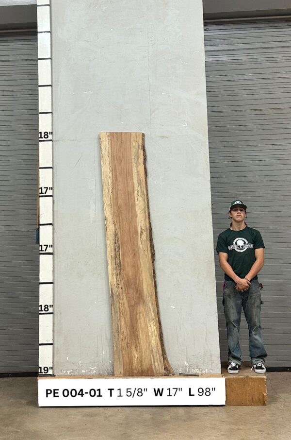 Live Edge Pecan Slab PE 004-01 - Image 2