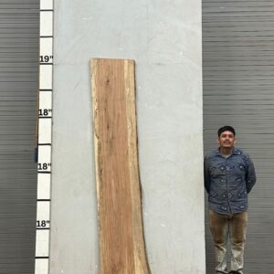 Live Edge Pecan Wood Slab - Back PE-004-02