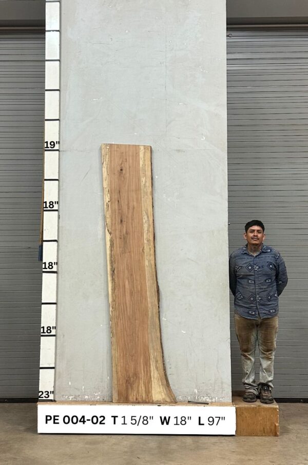 Live Edge Pecan Wood Slab - Back PE-004-02