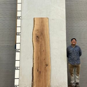 Live Edge Pecan Wood Slab - Back PE-006-02