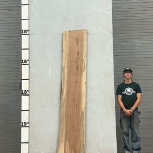 Live Edge Pecan Wood Slab - Front PE-004-01