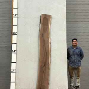Live Edge Walnut Wood Slab - Back WA-010-01