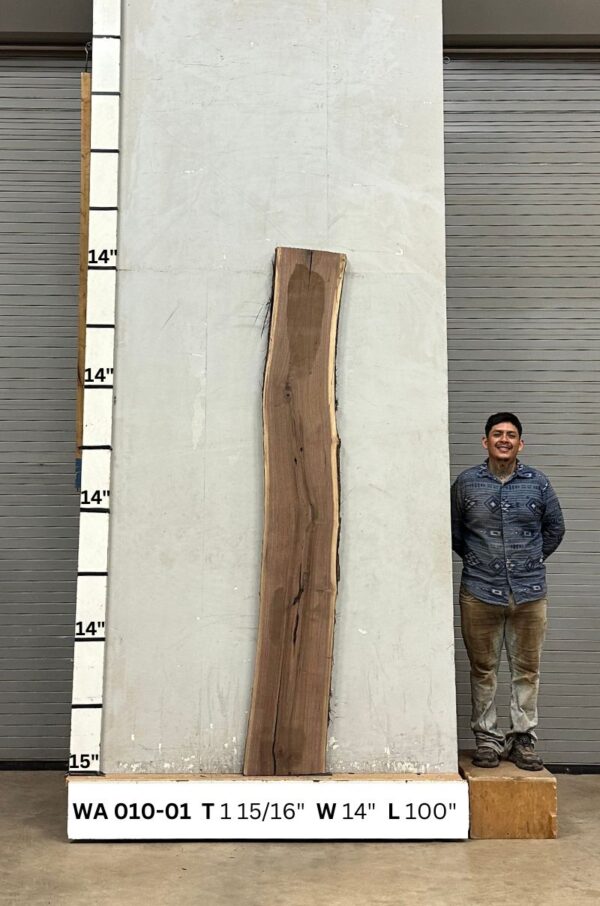 Live Edge Walnut Wood Slab - Back WA-010-01
