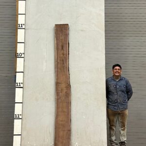 Live Edge Walnut Wood Slab - Back WA-012-01