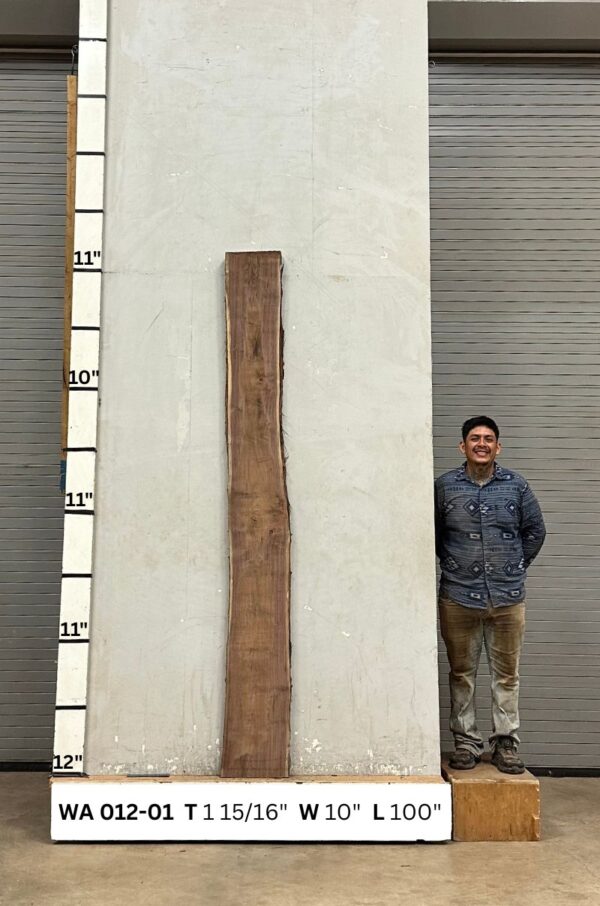 Live Edge Walnut Wood Slab - Back WA-012-01