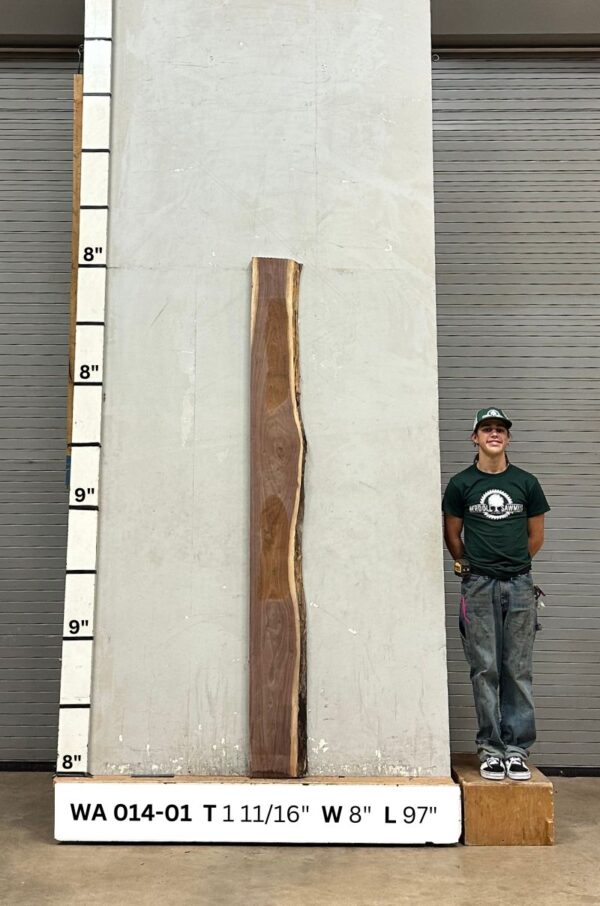 Live Edge Walnut Slab WA 014-01 - Image 2