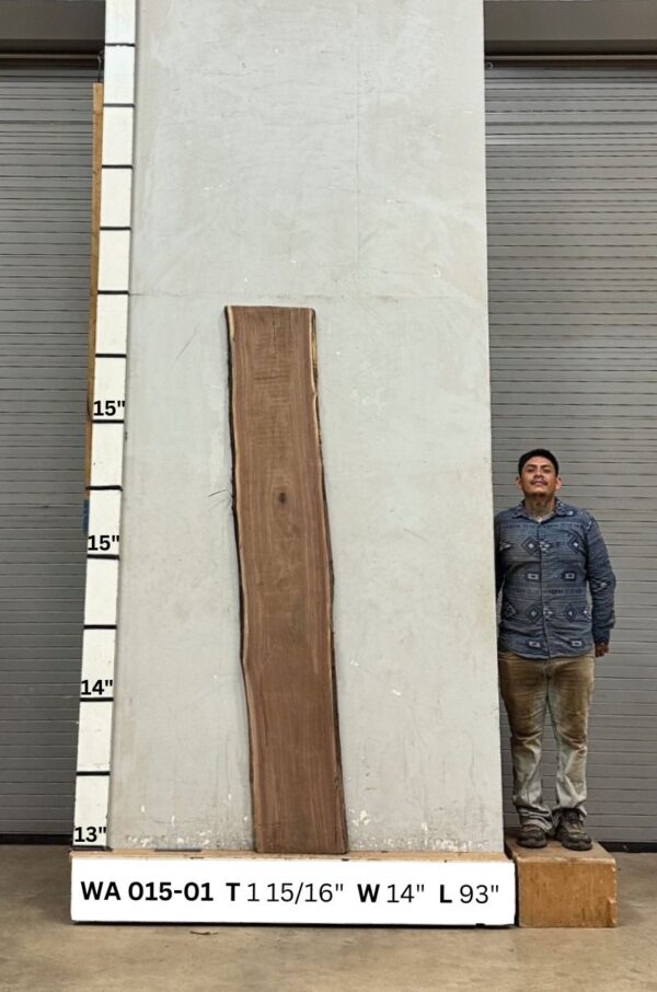 Live Edge Walnut Wood Slab - Back WA-015-01