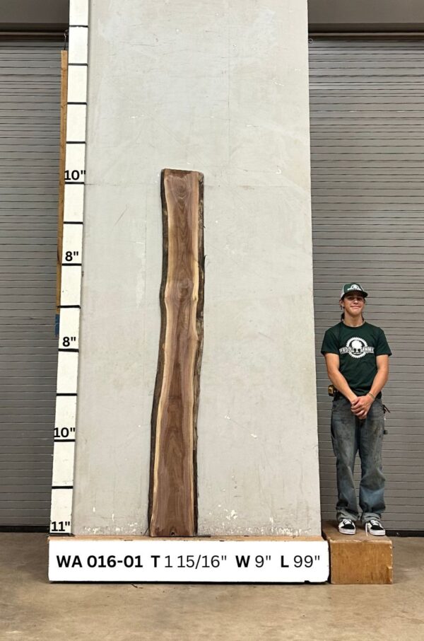 Live Edge Walnut Wood Slab - Back WA-016-01