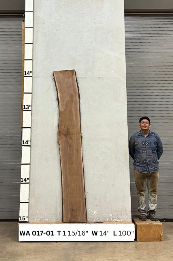 Live Edge Walnut Slab WA 017-01 - Image 2