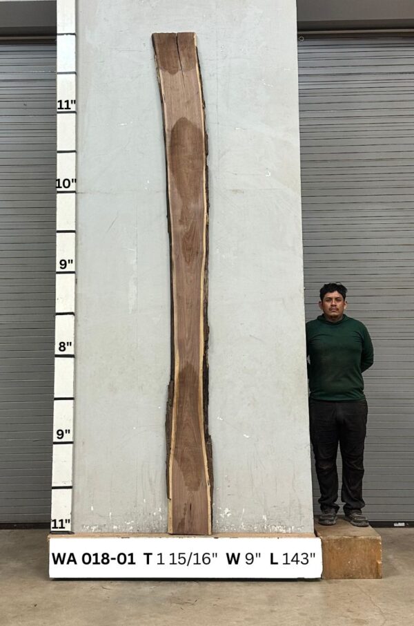 Live Edge Walnut Slab WA 018-01 - Image 2