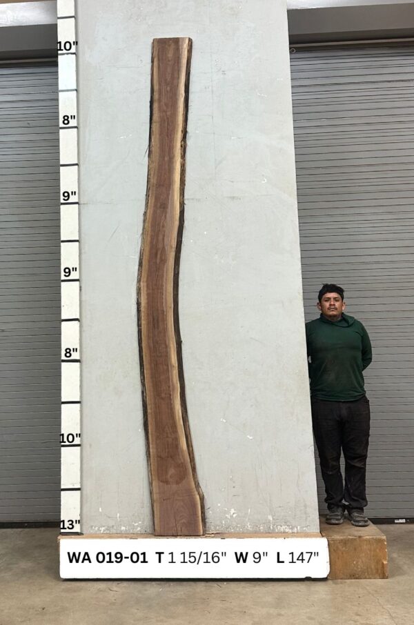 Live Edge Walnut Slab WA 019-01 - Image 2
