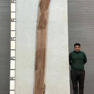 Live Edge Walnut Wood Slab - Back WA-305-01