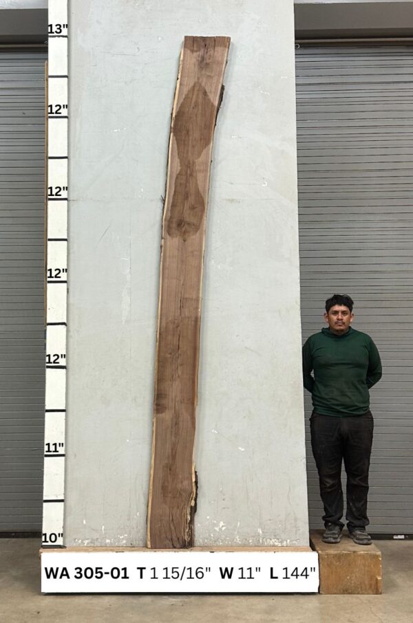 Live Edge Walnut Wood Slab - Back WA-305-01