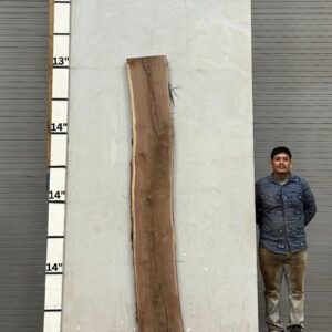 Live Edge Walnut Wood Slab - Front WA 010-01