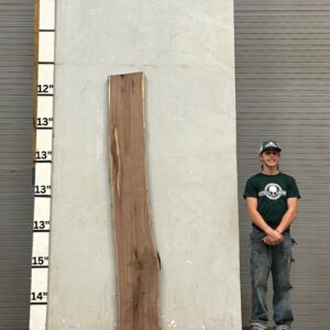 Live Edge Walnut Wood Slab - Front WA-011-01