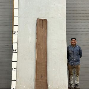 Live Edge Walnut Wood Slab - Front WA-013-01
