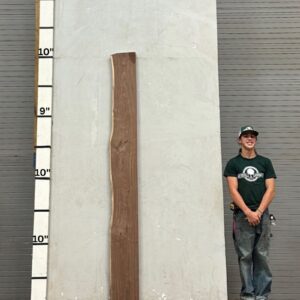 Live Edge Walnut Wood Slab - Front WA-014-01