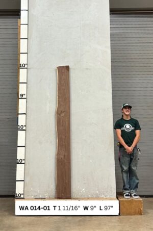 Live Edge Walnut Wood Slab - Front WA-014-01