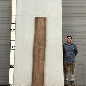Live Edge Walnut Wood Slab - Front WA-015-01