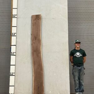 Live Edge Walnut Wood Slab - Front WA-016-01
