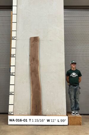Live Edge Walnut Wood Slab - Front WA-016-01