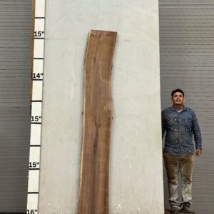 Live Edge Walnut Wood Slab - Front WA-017-01