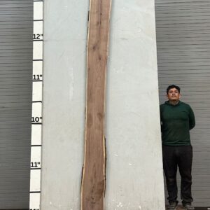 Live Edge Walnut Wood Slab - Front WA-018-01