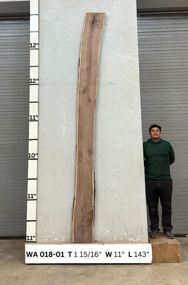 Live Edge Walnut Wood Slab - Front WA-018-01