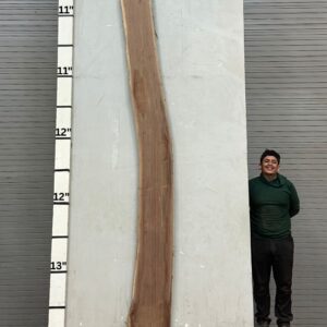 Live Edge Walnut Wood Slab - Front WA-019-01