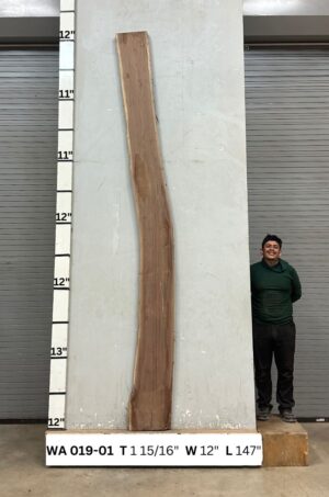 Live Edge Walnut Wood Slab - Front WA-019-01