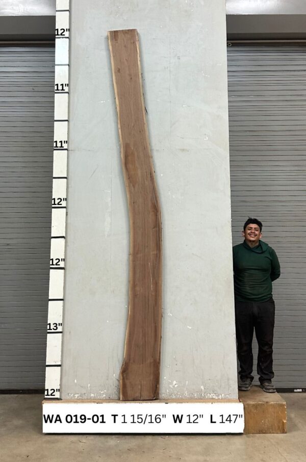 Live Edge Walnut Wood Slab - Front WA-019-01