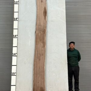 Live Edge Walnut Wood Slab - Front WA-303-01