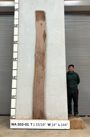 Live Edge Walnut Wood Slab - Front WA-303-01