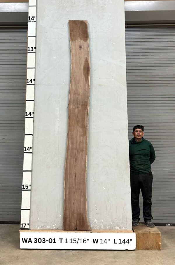 Live Edge Walnut Wood Slab - Front WA-303-01