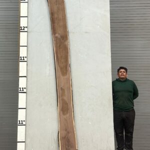 Live Edge Walnut Wood Slab - Front WA-305-01