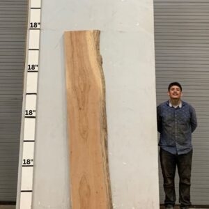 Live Edge Pecan Wood Slab - Back PE-082-01
