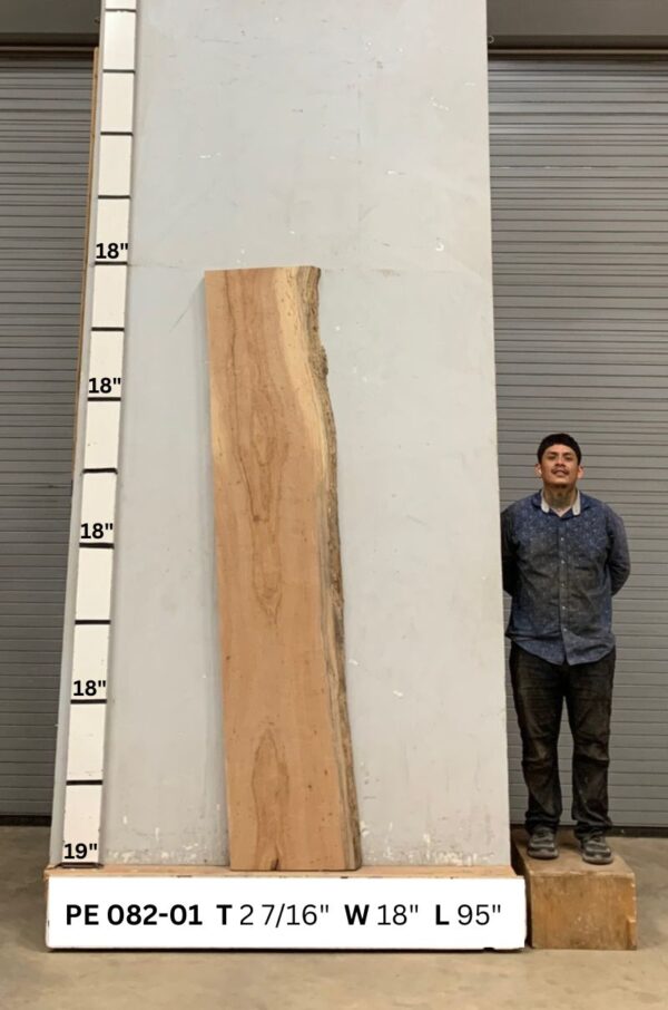 Live Edge Pecan Wood Slab - Back PE-082-01