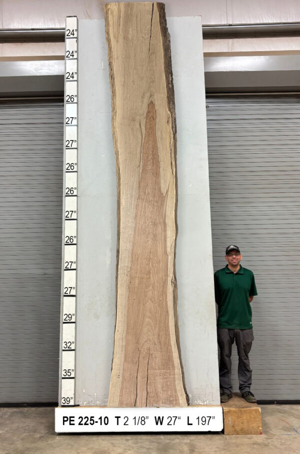 Live Edge Pecan Slab PE 225-10 - Image 2