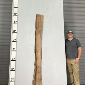 Live Edge Pecan Wood Slab - Back PE-342-01