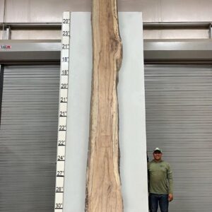 Live Edge Pecan Wood Slab - Back PE-408-05