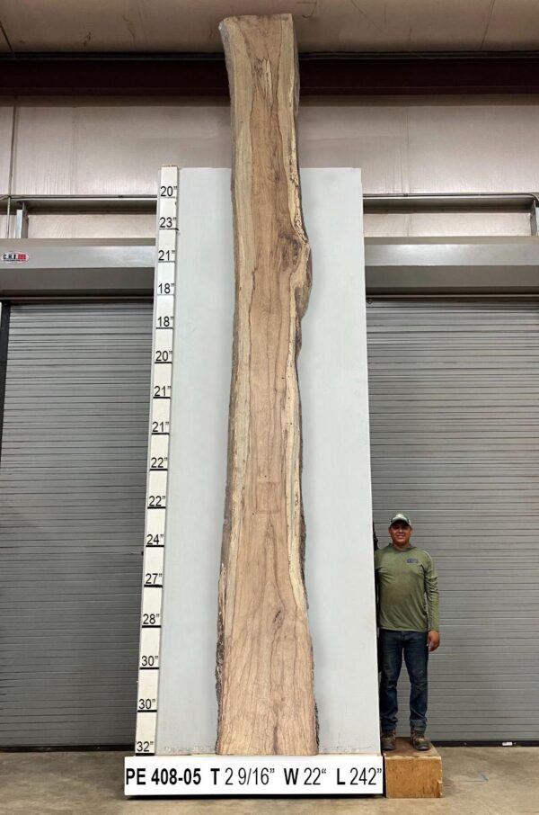 Live Edge Pecan Wood Slab - Back PE-408-05