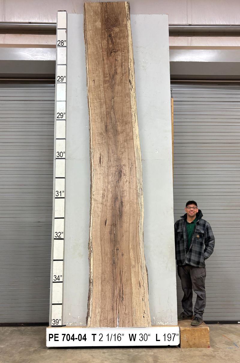 Live Edge Pecan Slab PE 704-04 - Image 2